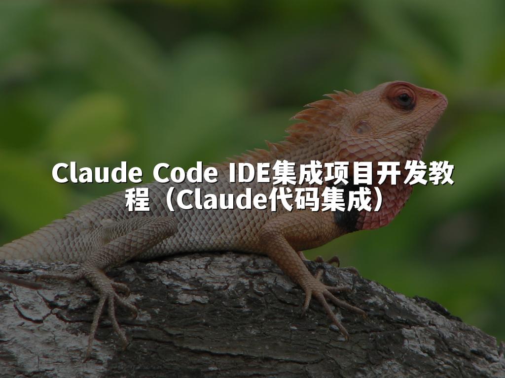 Claude Code IDE集成项目开发教程(Claude代码集成)