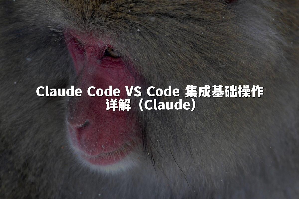 Claude Code VS Code 集成基础操作详解(Claude)