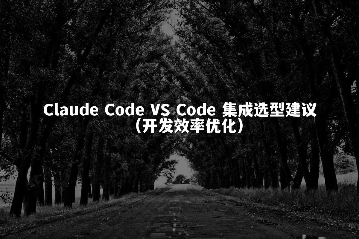 Claude Code VS Code 集成选型建议（开发效率优化）