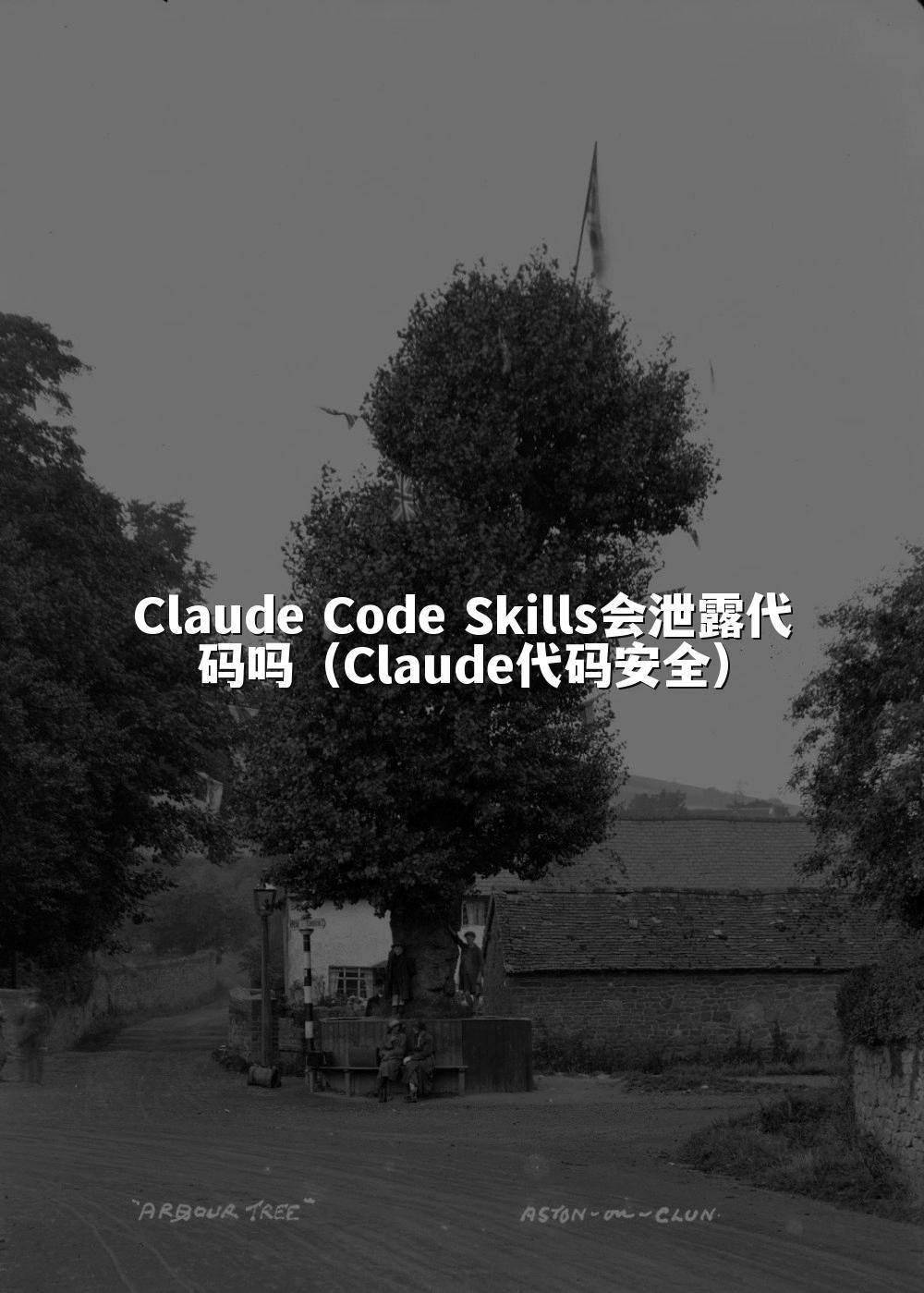 Claude Code Skills会泄露代码吗（Claude代码安全）