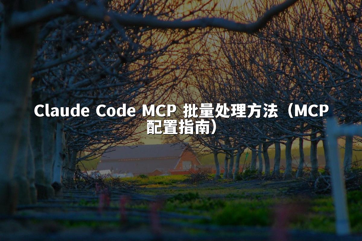 Claude Code MCP 批量处理方法（MCP配置指南）