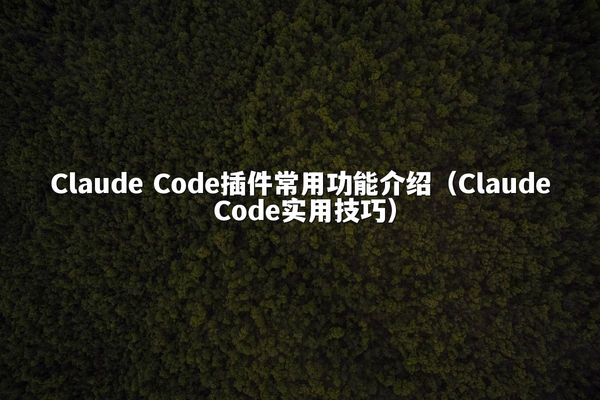 Claude Code插件常用功能介绍(Claude Code实用技巧)