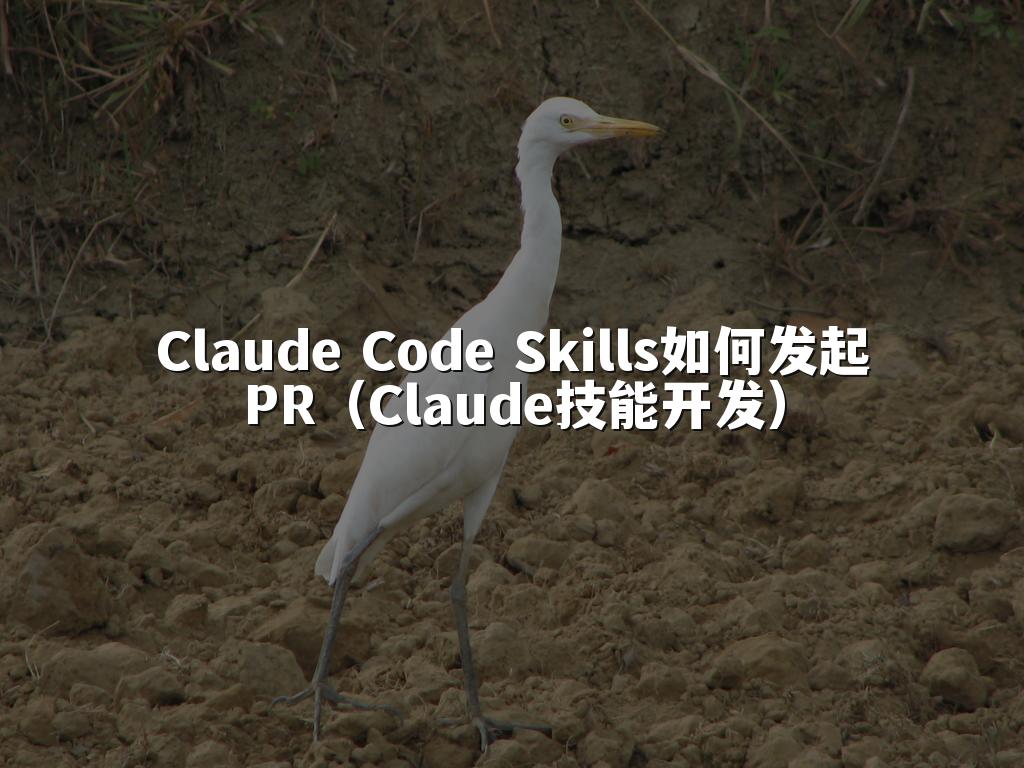 Claude Code Skills如何发起PR（Claude技能开发）