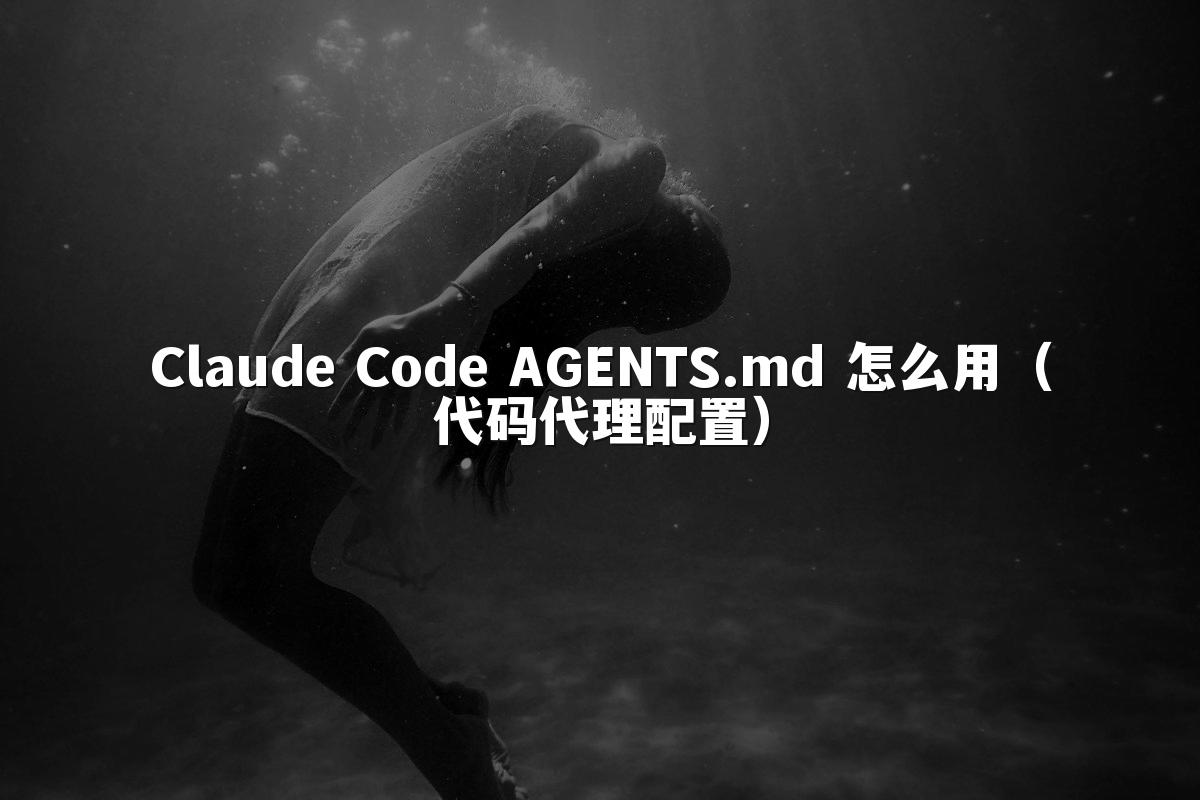 Claude Code AGENTS.md 怎么用（代码代理配置）