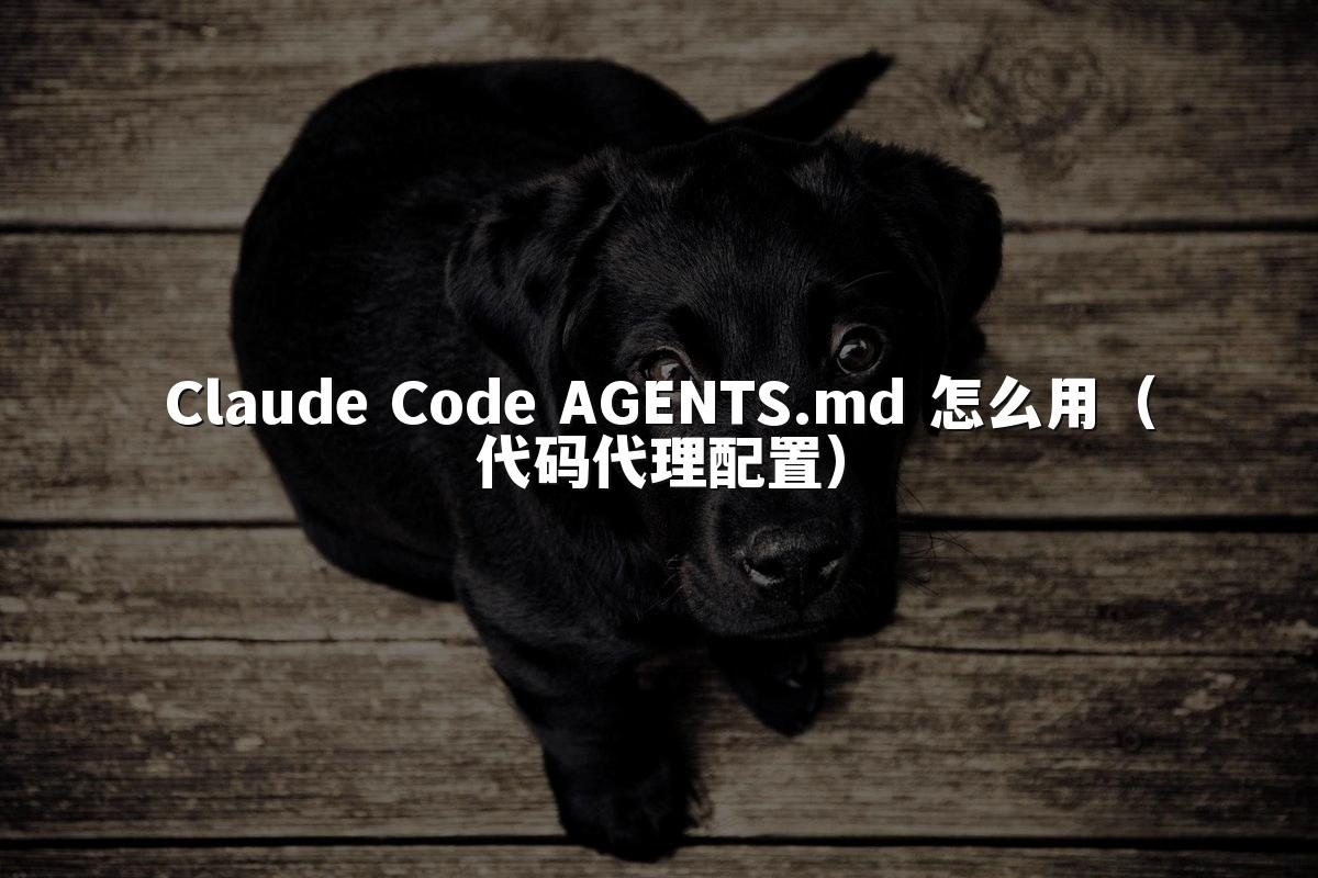 Claude Code AGENTS.md 怎么用（代码代理配置）