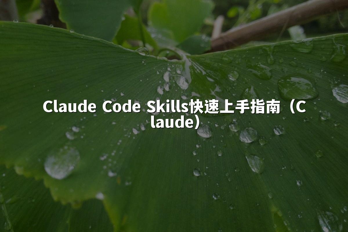 Claude Code Skills快速上手指南（Claude）