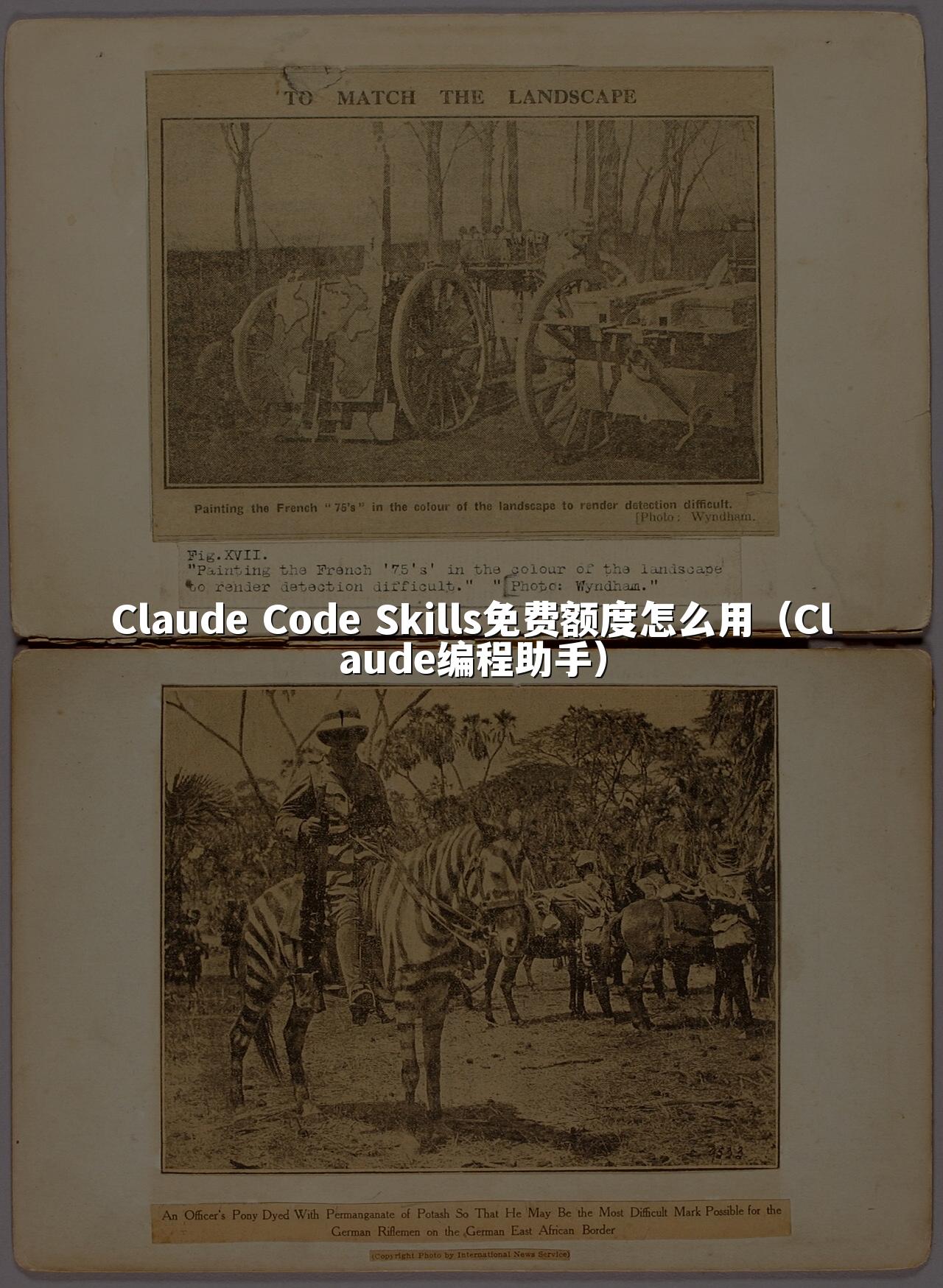 Claude Code Skills免费额度怎么用（Claude编程助手）