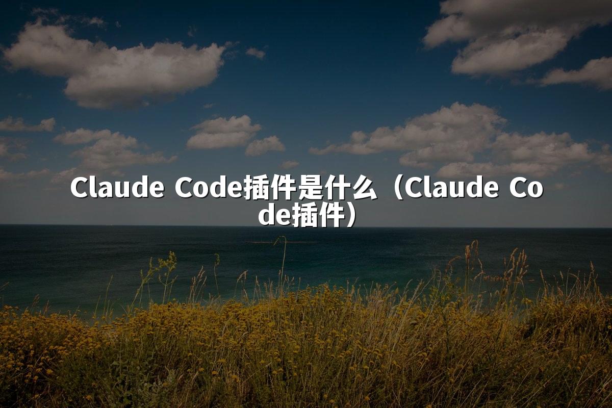 Claude Code插件是什么（Claude Code插件）
