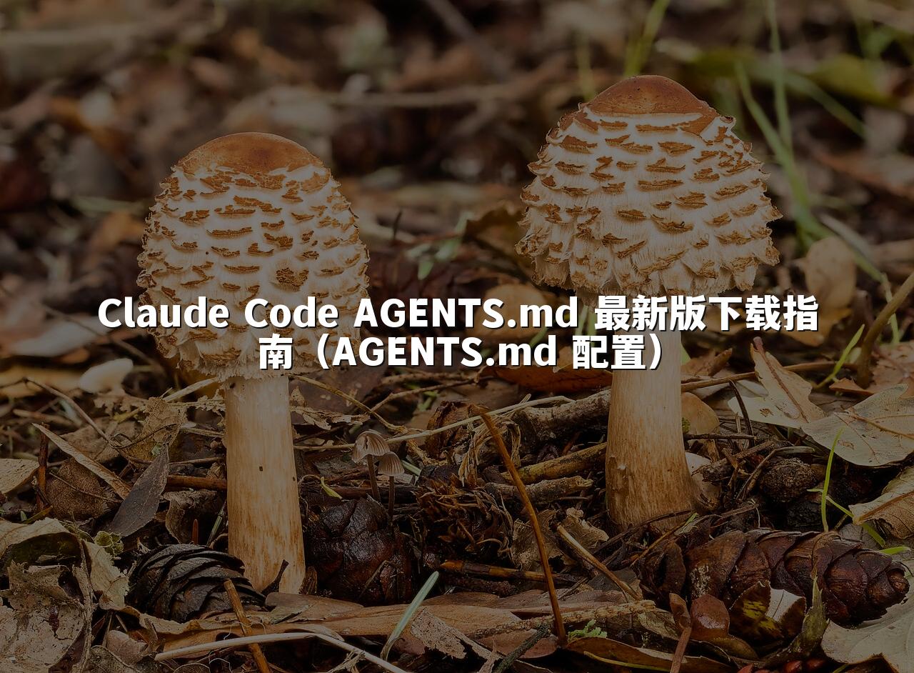 Claude Code AGENTS.md 最新版下载指南(AGENTS.md 配置)