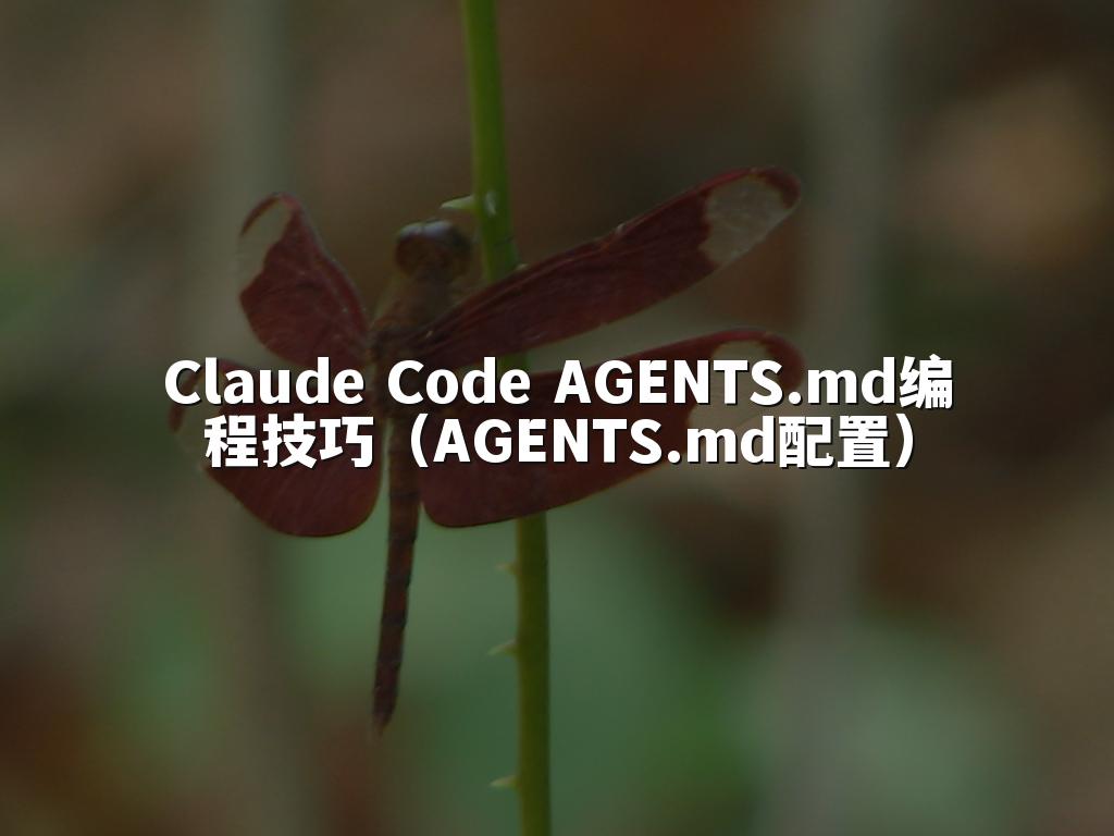 Claude Code AGENTS.md编程技巧（AGENTS.md配置）