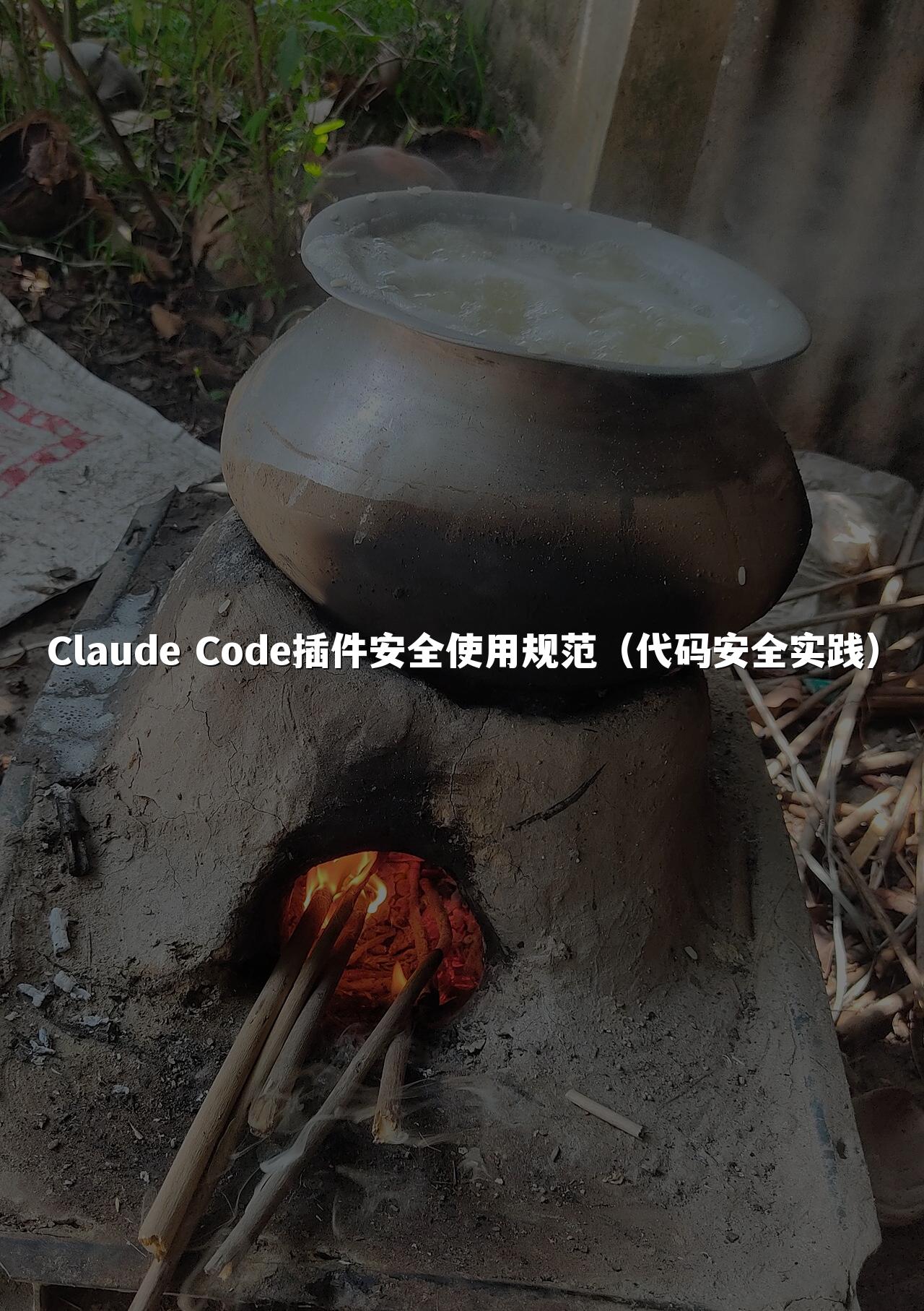 Claude Code插件安全使用规范（代码安全实践）