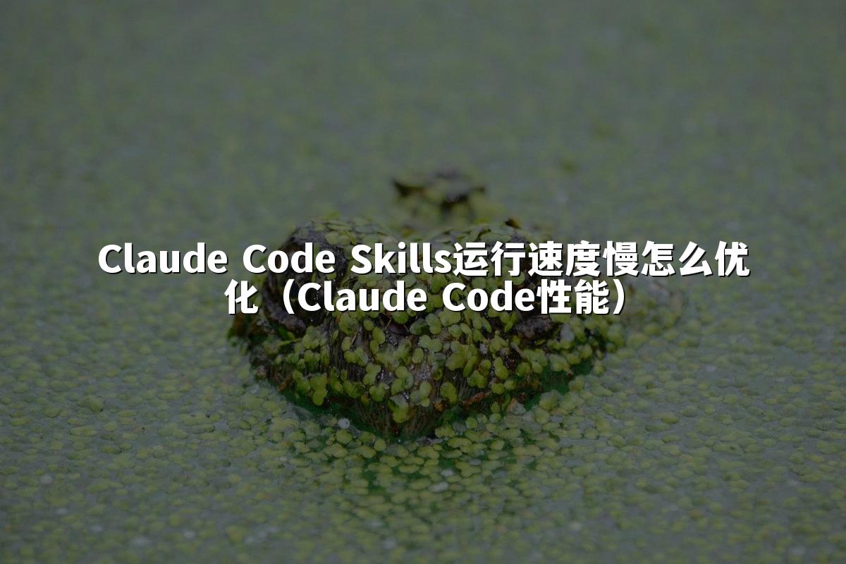 Claude Code Skills运行速度慢怎么优化（Claude Code性能）