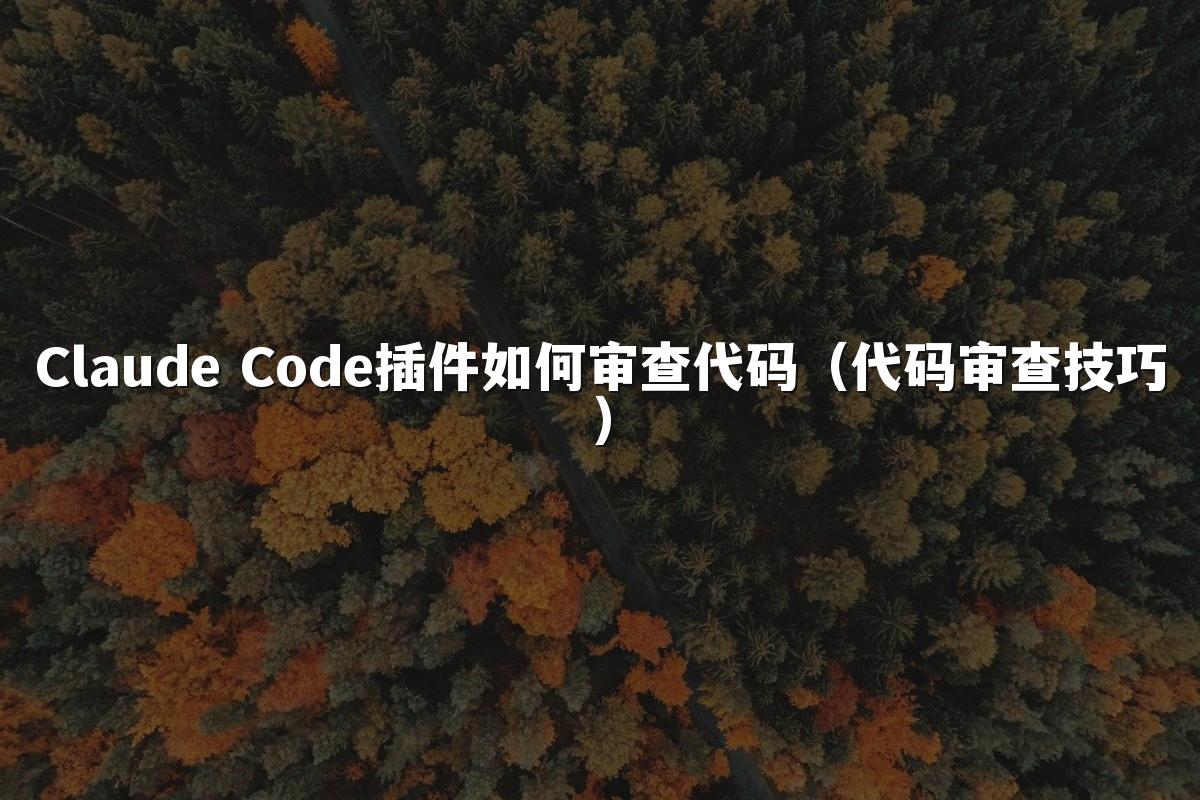 Claude Code插件如何审查代码（代码审查技巧）