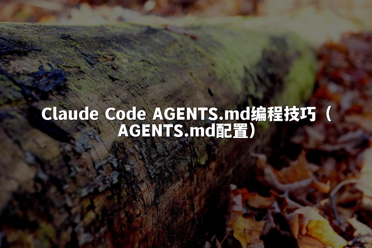 Claude Code AGENTS.md编程技巧（AGENTS.md配置）