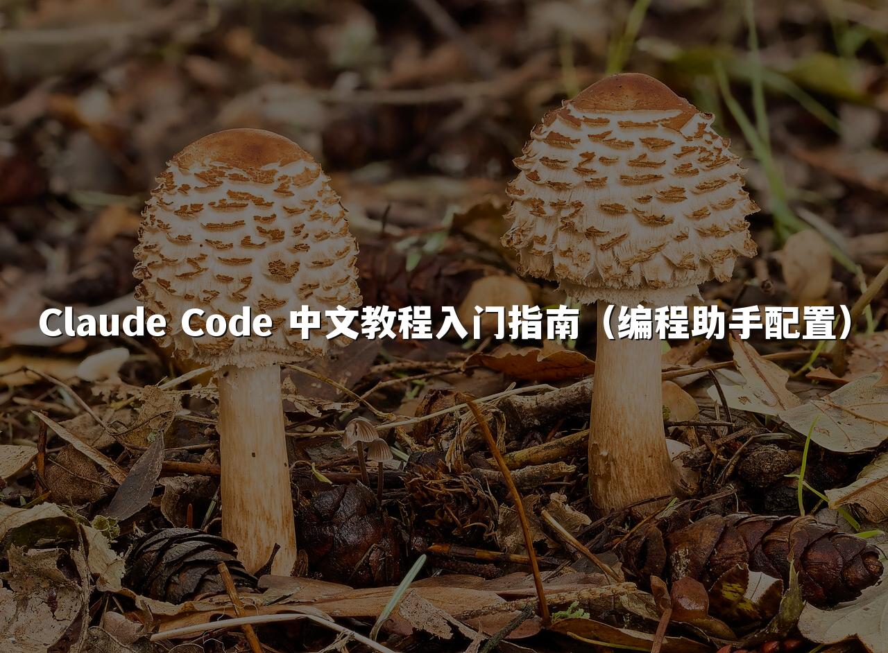 Claude Code 中文教程入门指南（编程助手配置）