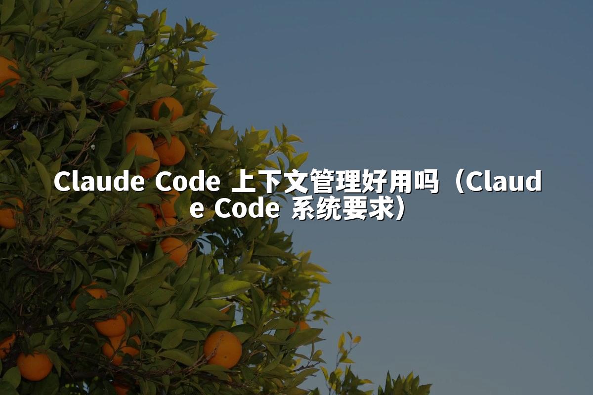 Claude Code 上下文管理好用吗（Claude Code 系统要求）
