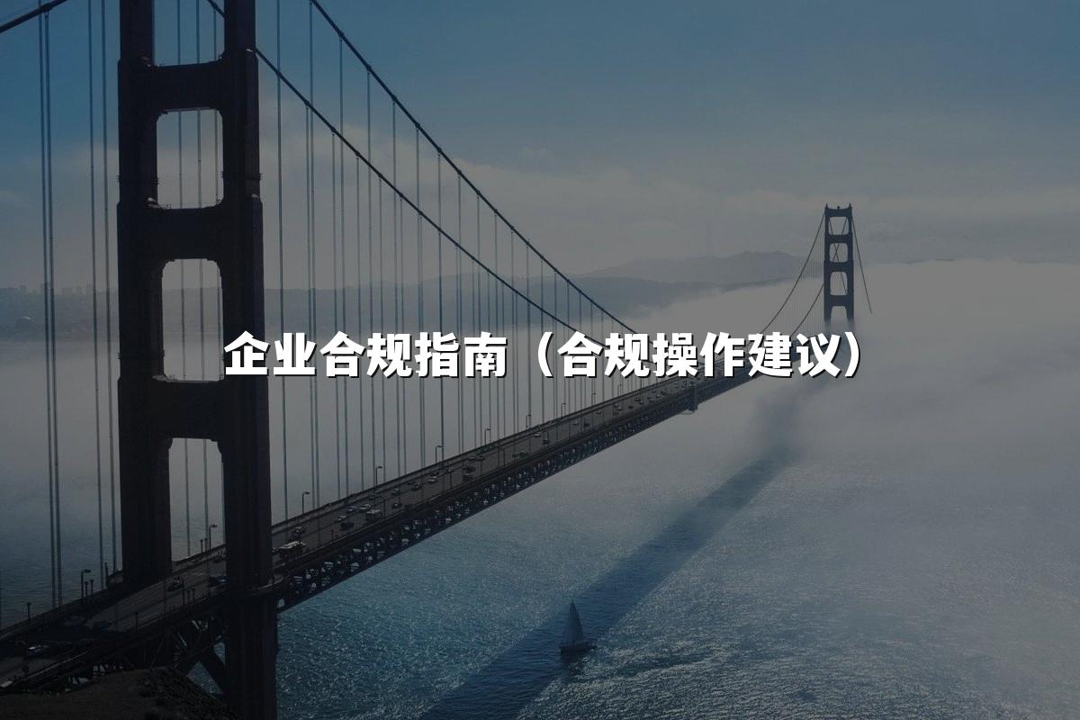 企业合规指南(合规操作建议)