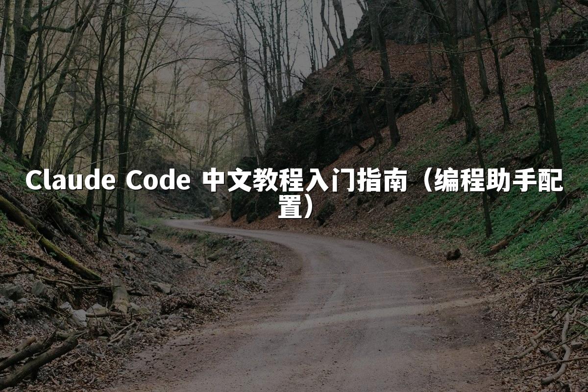 Claude Code 中文教程入门指南（编程助手配置）