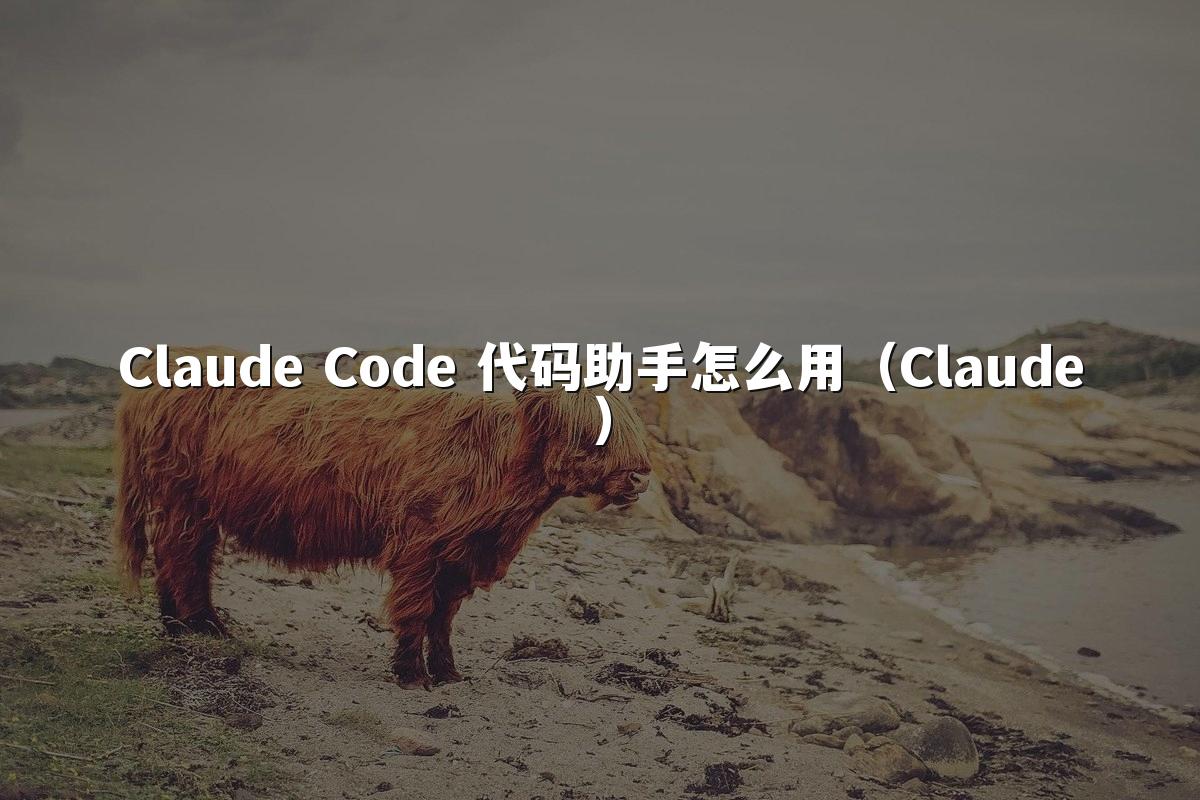 Claude Code 代码助手怎么用（Claude）