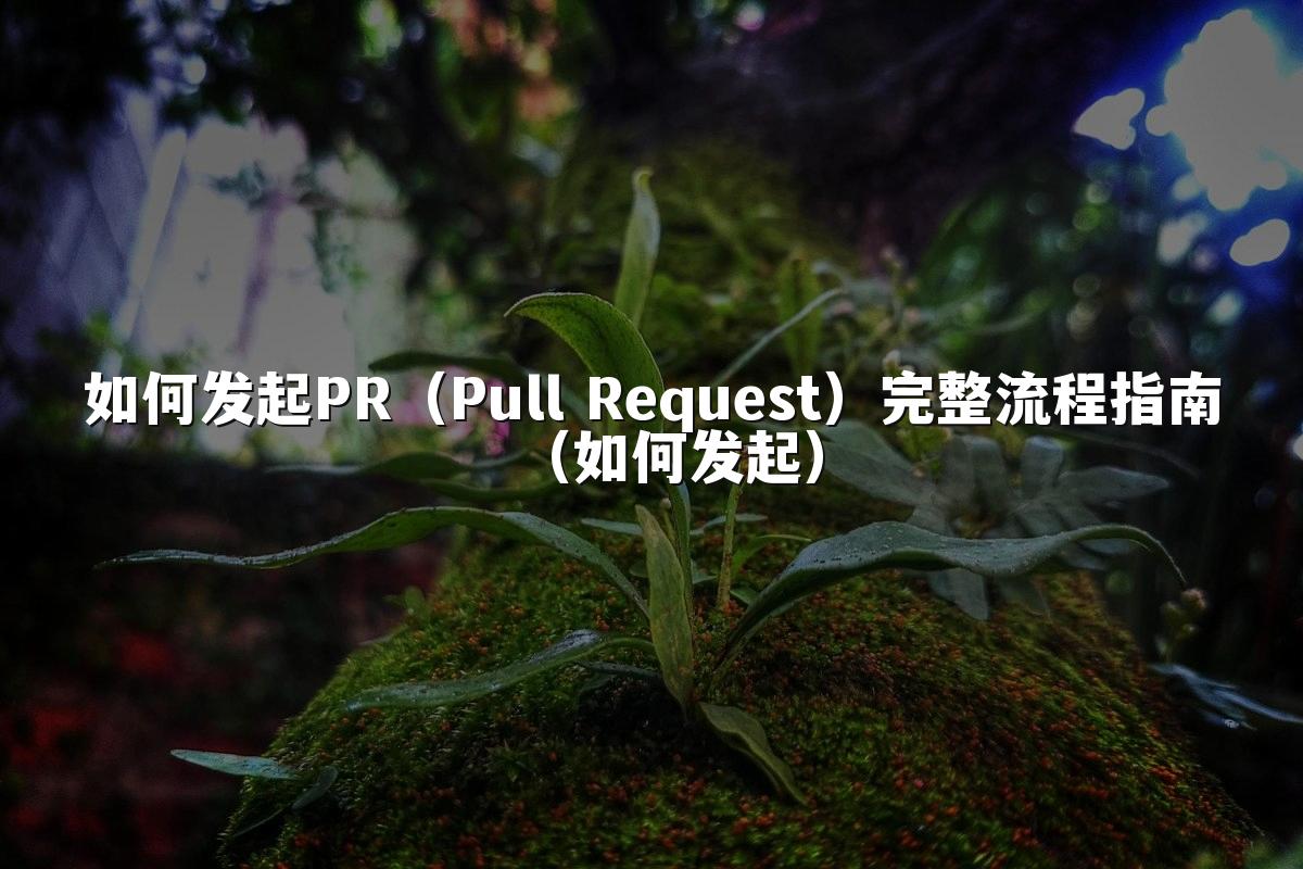 如何发起PR（Pull Request）完整流程指南（如何发起）