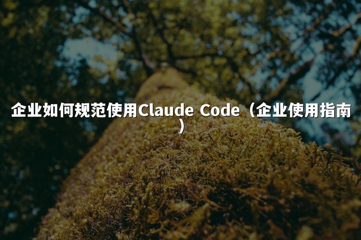 企业如何规范使用Claude Code（企业使用指南）