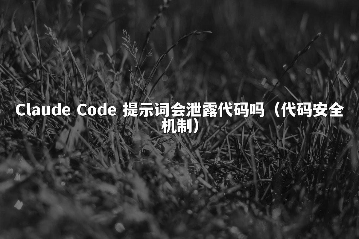 Claude Code 提示词会泄露代码吗（代码安全机制）