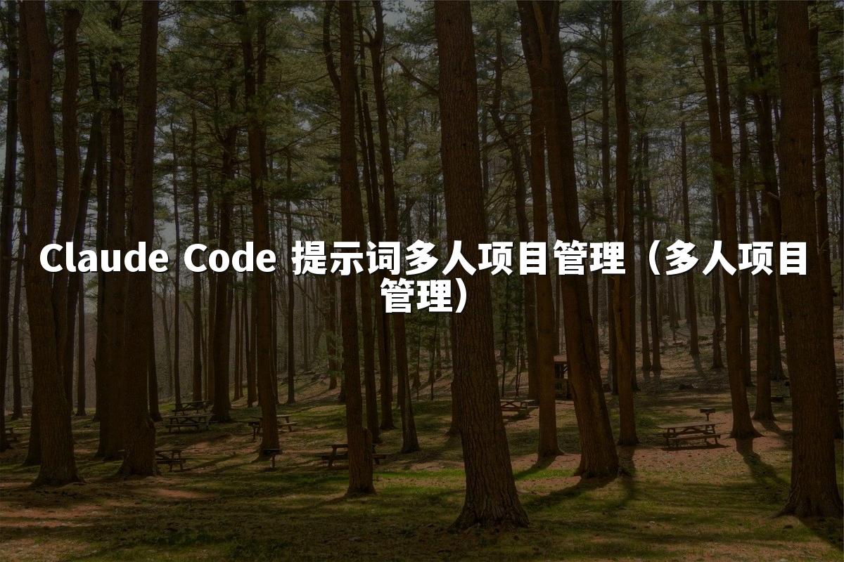 Claude Code 提示词多人项目管理（多人项目管理）